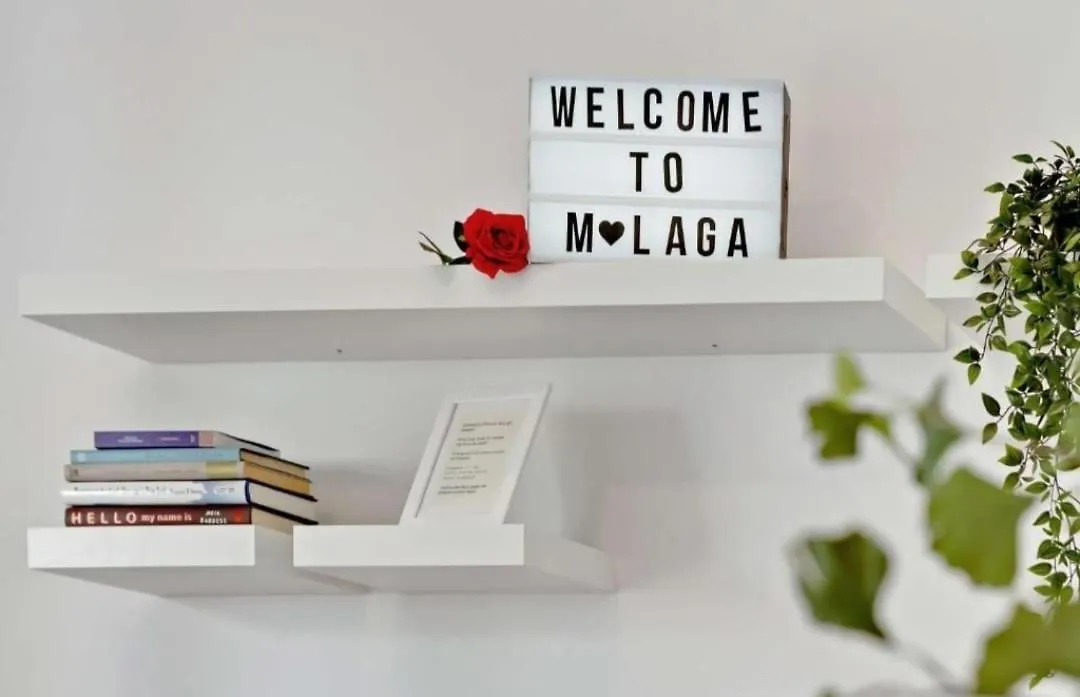 Magnifico Apartment Malaga Spain